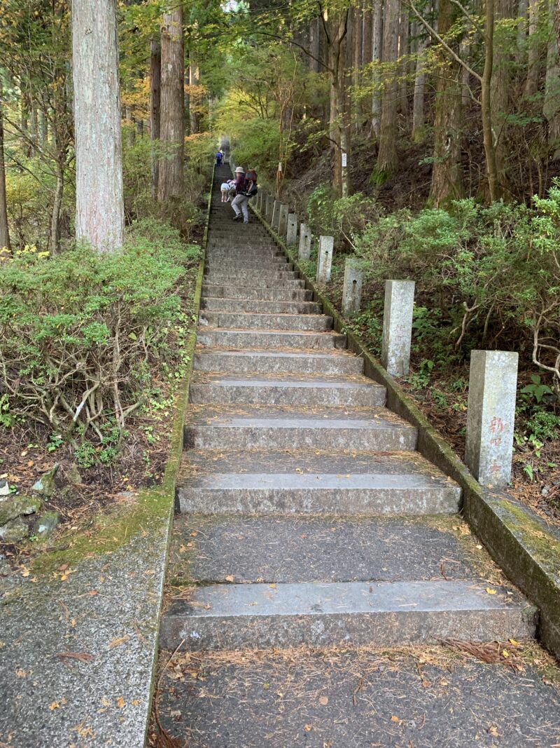 石割神社　階段