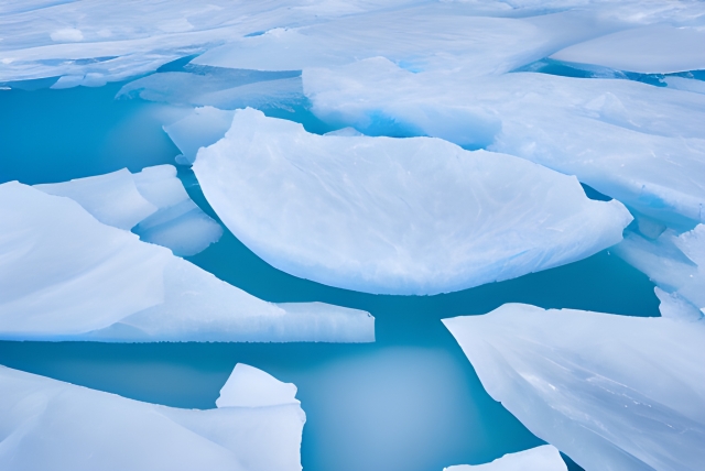 北極の海氷